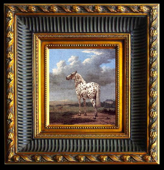 framed  POTTER, Paulus The Piebald Horse, Ta024-2